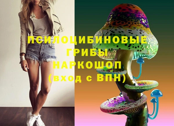 крисы Балахна