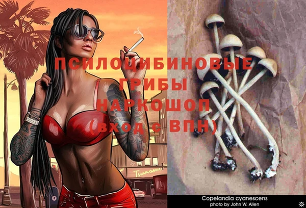 крисы Балахна